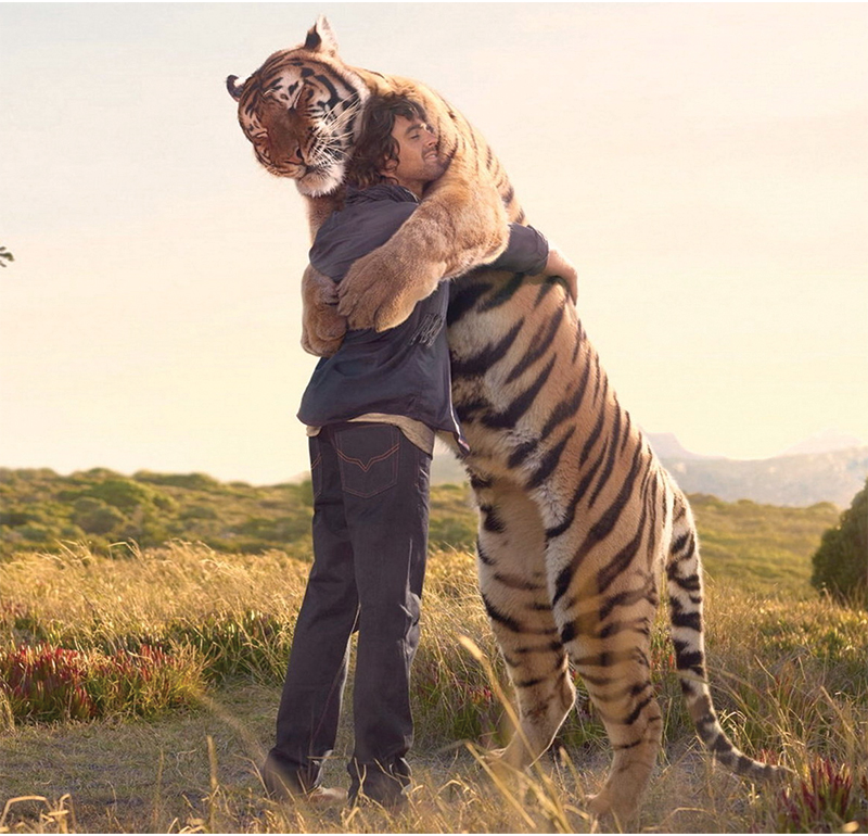 Abbraccio uomo tigre